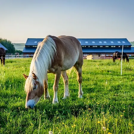 Üdülőközpont Oravsky Haj Garden & Trsztena
