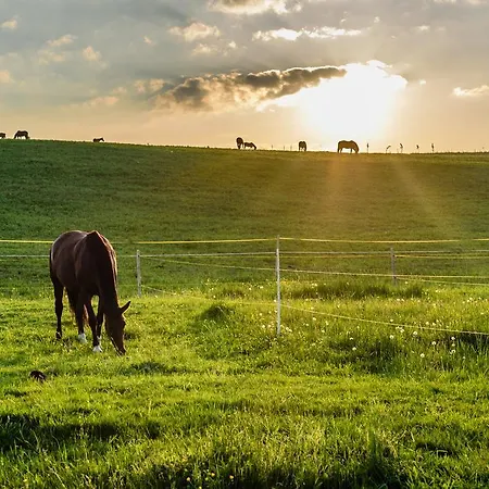 Oravsky Haj Garden &