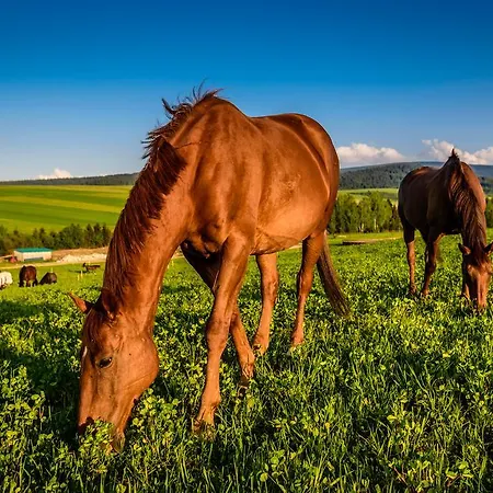 Oravsky Haj Garden & Trsztena