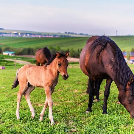 Üdülőközpont Oravsky Haj Garden & Trsztena