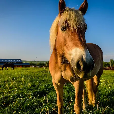 Üdülőközpont Oravsky Haj Garden & 4*