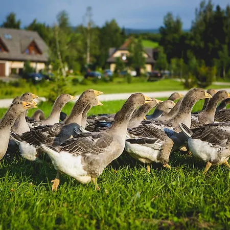 Oravsky Haj Garden & Resort 4*